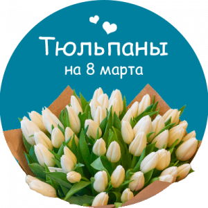 Купить тюльпаны в Бердянске